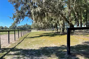 2551 NE 107 Pl, Chiefland, FL 32626 - Photo 69