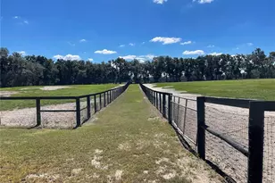 2551 NE 107 Pl, Chiefland, FL 32626 - Photo 61