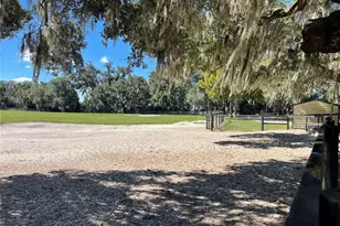 2551 NE 107 Pl, Chiefland, FL 32626 - Photo 59