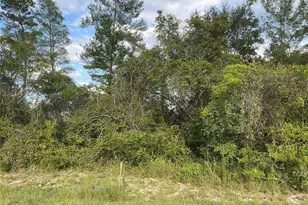 SW 35th Ave Rd, Ocala, FL 34473 - Photo 1