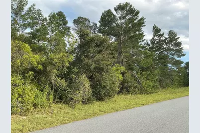 Sw 35th Ave Road, Ocala, FL 34473 - Photo 3