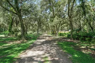 17244 SE 130th Ave, Weirsdale, FL 32195 - Photo 3