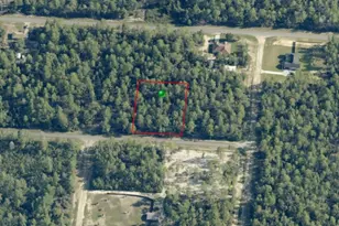 4422 W Banner Cir, Dunnellon, FL 34433 - Photo 1