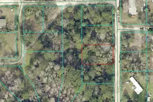 4426 NE 132nd Ave, Silver Springs, FL 34488 - Photo 1