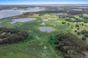 17355 SE 260th Avenue Rd, Umatilla, FL 32784 - Photo 15