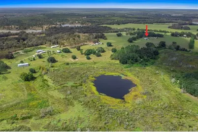 17355 SE 260th Avenue Road, Umatilla, FL 32784 - Photo 5