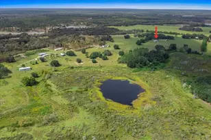 17355 SE 260th Avenue Rd, Umatilla, FL 32784 - Photo 5