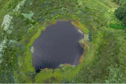 17355 SE 260th Avenue Road, Umatilla, FL 32784 - Photo 9