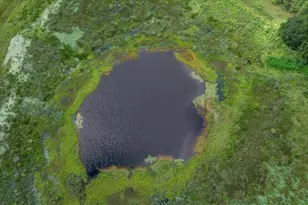 17355 SE 260th Avenue Rd, Umatilla, FL 32784 - Photo 9