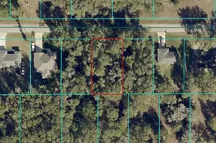 SE 139 Ln, Summerfield, FL 34491 - Photo 1