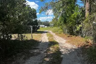 682 County Rd 481W, Lake Panasoffkee, FL 33538 - Photo 3