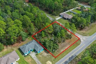 6442 N Dunlap Terrace, Citrus Springs, FL 34433 - Photo 1