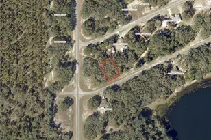 Fisher Way Loop, Ocklawaha, FL 32179 - Photo 1