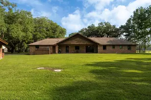 15964 W Hwy 318, Williston, FL 32696 - Photo 19