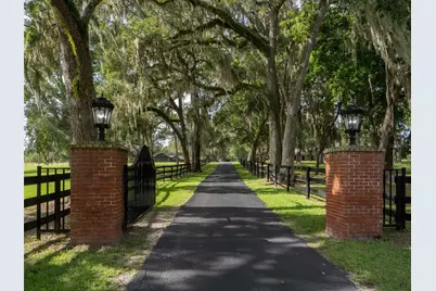 15964 W Highway 318, Williston, FL 32696 - Photo 3