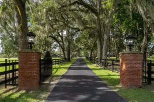 15964 W Hwy 318, Williston, FL 32696 - Photo 3