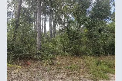Se 92nd Place, Ocklawaha, FL 32179 - Photo 3