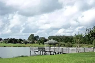 11864 SE 91st Cir, Summerfield, FL 34491 - Photo 53