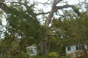 20425 NE 143rd St, Fort Mc Coy, FL 32134 - Photo 31