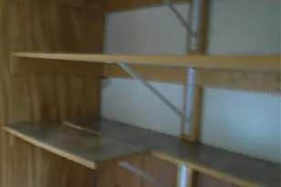 20425 NE 143rd St, Fort Mc Coy, FL 32134 - Photo 43