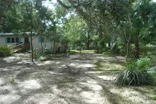 20425 NE 143rd St, Fort Mc Coy, FL 32134 - Photo 3