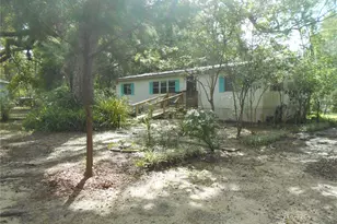 20425 NE 143rd St, Salt Springs, FL 32134 - Photo 1