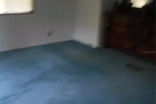 20425 NE 143rd St, Fort Mc Coy, FL 32134 - Photo 47