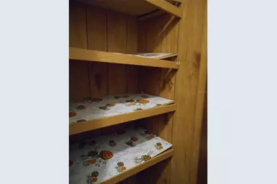 20425 NE 143rd Street, Fort Mc Coy, FL 32134 - Photo 61