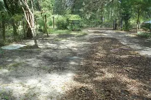 20425 NE 143rd St, Salt Springs, FL 32134 - Photo 5