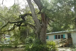 20425 NE 143rd St, Fort Mc Coy, FL 32134 - Photo 1