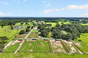 5540 SE 157th Street Rd, Summerfield, FL 34491 - Photo 39
