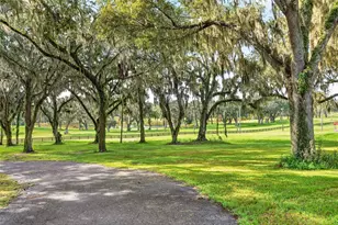 5540 SE 157th Street Rd, Summerfield, FL 34491 - Photo 47
