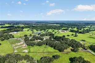 5540 SE 157th Street Rd, Summerfield, FL 34491 - Photo 9