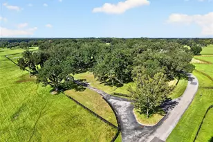 5540 SE 157th Street Rd, Summerfield, FL 34491 - Photo 17