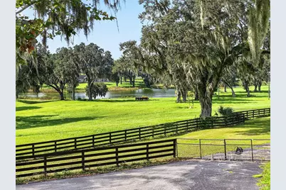 5540 SE 157th Street Road #(Option 1), Summerfield, FL 34491 - Photo 69