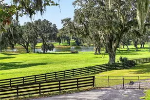 5540 SE 157th Street Rd, Summerfield, FL 34491 - Photo 69