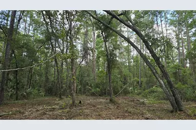 00 E Highway 316, Fort Mc Coy, FL 32134 - Photo 31