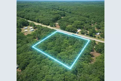00 E Highway 316, Fort Mc Coy, FL 32134 - Photo 23