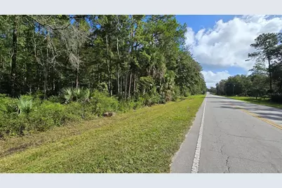 00 E Highway 316, Fort Mc Coy, FL 32134 - Photo 19