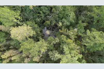 E Highway 316, Fort Mc Coy, FL 32134 - Photo 17