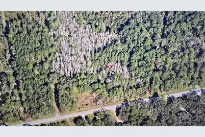 00 E Highway 316, Fort Mc Coy, FL 32134 - Photo 21