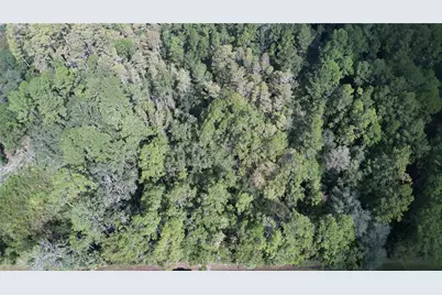00 E Highway 316, Fort Mc Coy, FL 32134 - Photo 9