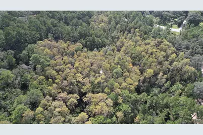00 E Highway 316, Fort Mc Coy, FL 32134 - Photo 17