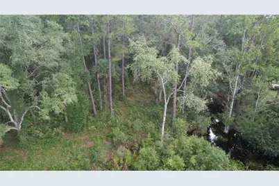 00 E Highway 316, Fort Mc Coy, FL 32134 - Photo 23