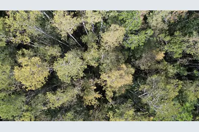 00 E Highway 316, Fort Mc Coy, FL 32134 - Photo 15