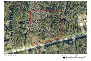 E Hwy 316, Fort Mc Coy, FL 32134 - Photo 1