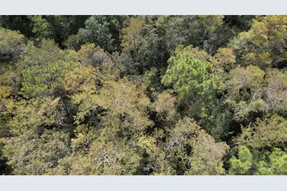 00 E Highway 316, Fort Mc Coy, FL 32134 - Photo 13