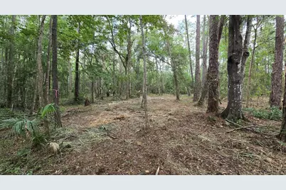 00 E Highway 316, Fort Mc Coy, FL 32134 - Photo 29