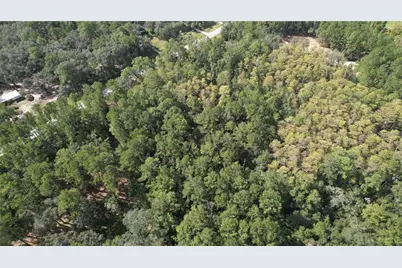 00 E Highway 316, Fort Mc Coy, FL 32134 - Photo 11
