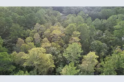 E Highway 316, Fort Mc Coy, FL 32134 - Photo 15